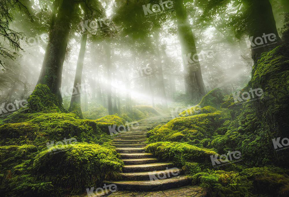 Kate Jungle Path Forest Spring Backdrop Designed by Chain Photography
