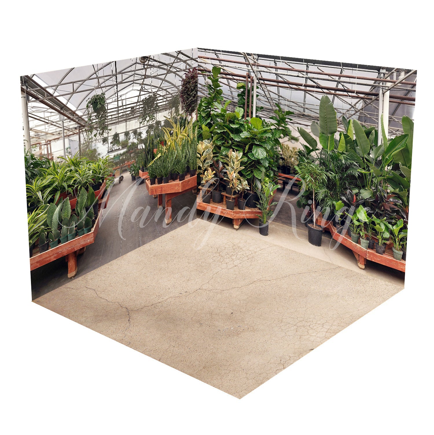 Kate Tropical Greenhouse Interior Summer Plants Room Set(8ftx8ft&10ftx8ft&8ftx10ft)