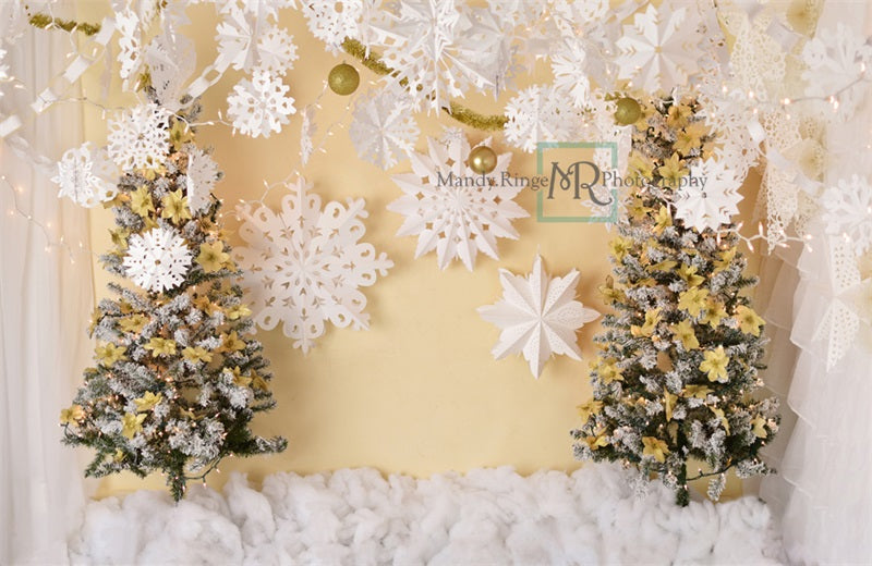 Kate Gold and White Paper Snowflake Christmas Backdrop Designed by Mandy Ringe Photography