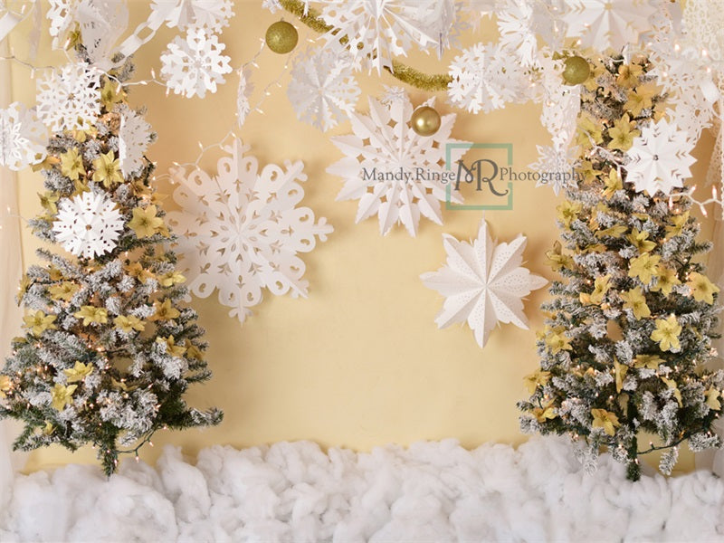 Kate Gold and White Paper Snowflake Christmas Backdrop Designed by Mandy Ringe Photography