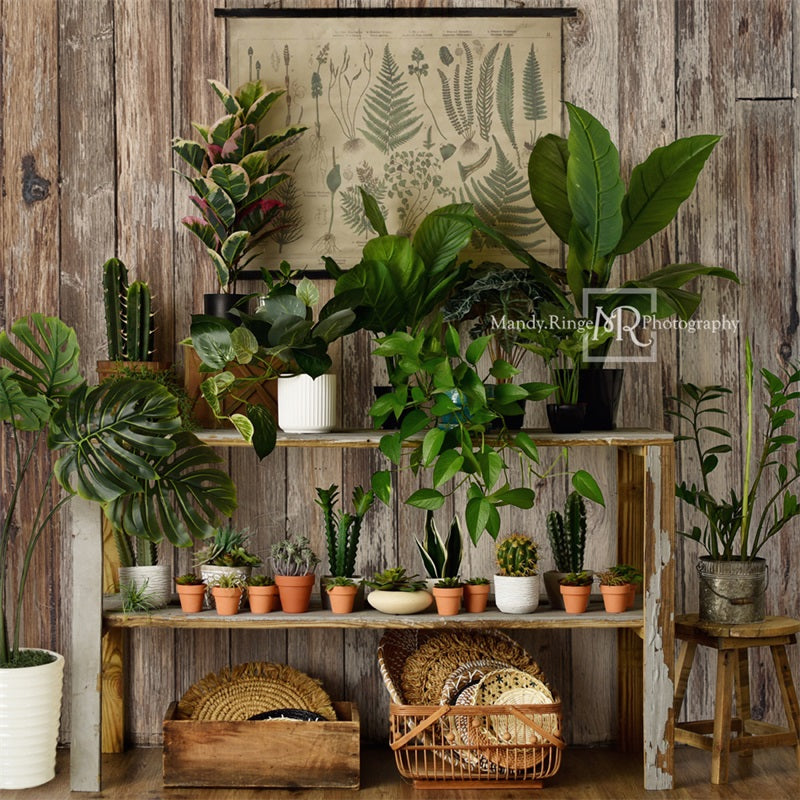 Kate Rustic Plant Shop Summer Backdrop Designed by Mandy Ringe Photography