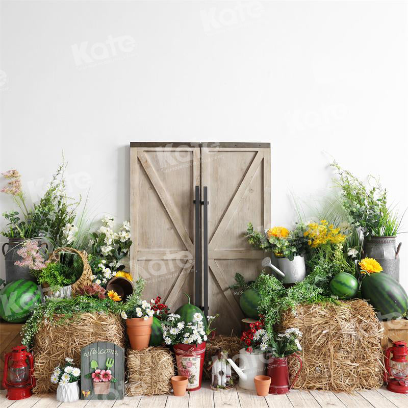 Kate Summer Watermelon Barn Door Backdrop for Photography