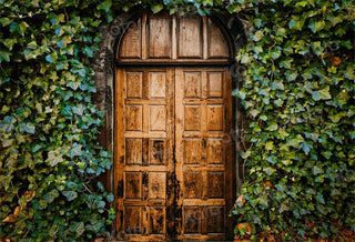 Fondo de fotográfico de verano tropical con hojas verdes para puerta