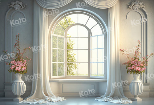 Elegant Classic Window Light Backdrop