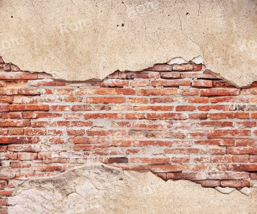 Photo inspiration: Gallery Detail: Rustic Exposed Brick Vintage Wall Backdrop