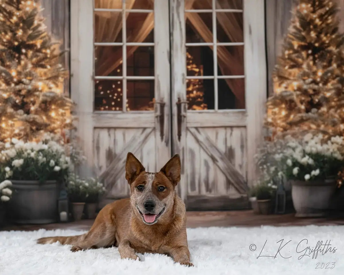 Kate Pet Christmas Barn with Lights and Christmas Tree Backdrop Designed by Emetselch
