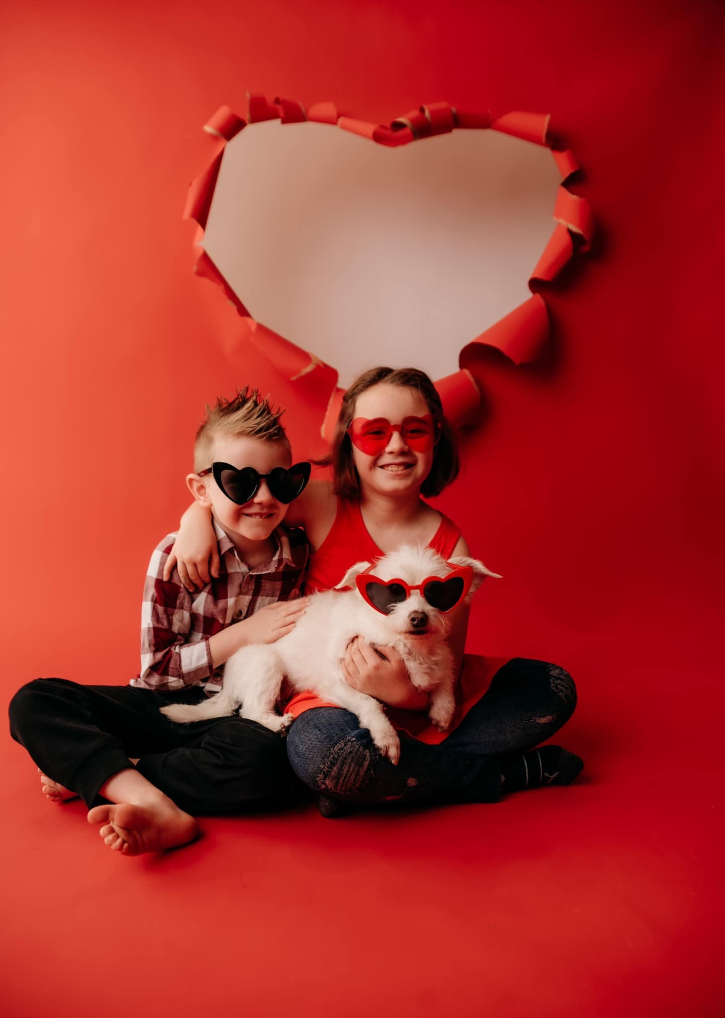 Kate Pet Valentines Red Torn Heart Backdrop Designed by Melissa King