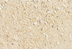 Katebackdrop¡êoKate Sea Beach Summer Sand Computer Printed Rubber Floor Mat