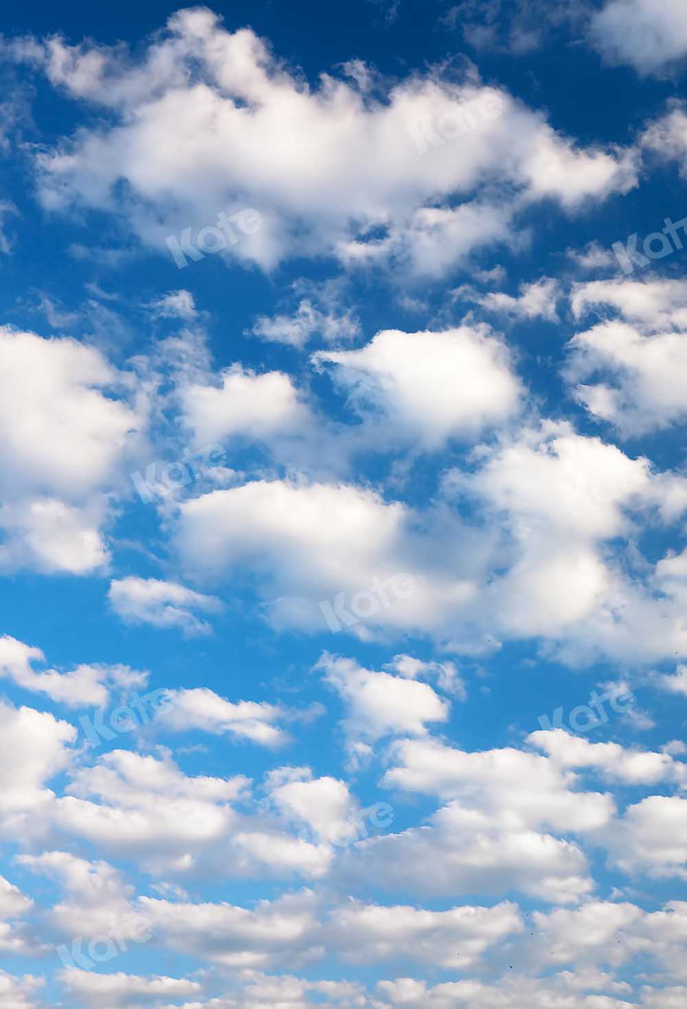 Kate Blue Sky Cloud Summer Backdrop Designed by Kate Image