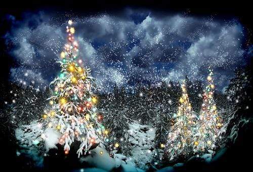Kate Frozen Winter Christmas Snowy Trees Backdrop for Photography - Katebackdrop