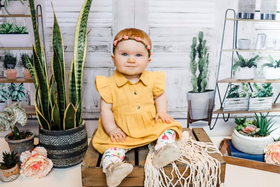 Katebackdrop鎷㈡綖Kate Spring Flower White Window Room Backdrop Designed By Claire