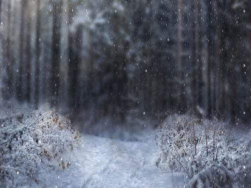 Katebackdrop£ºKate Winter Snowy Forest Backdrop for Photography Designed By Jerry_Sina