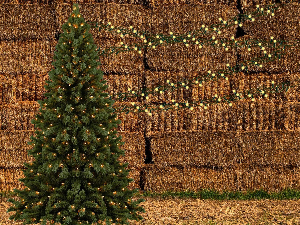 Rustic Holiday Pine Tree Backdrop