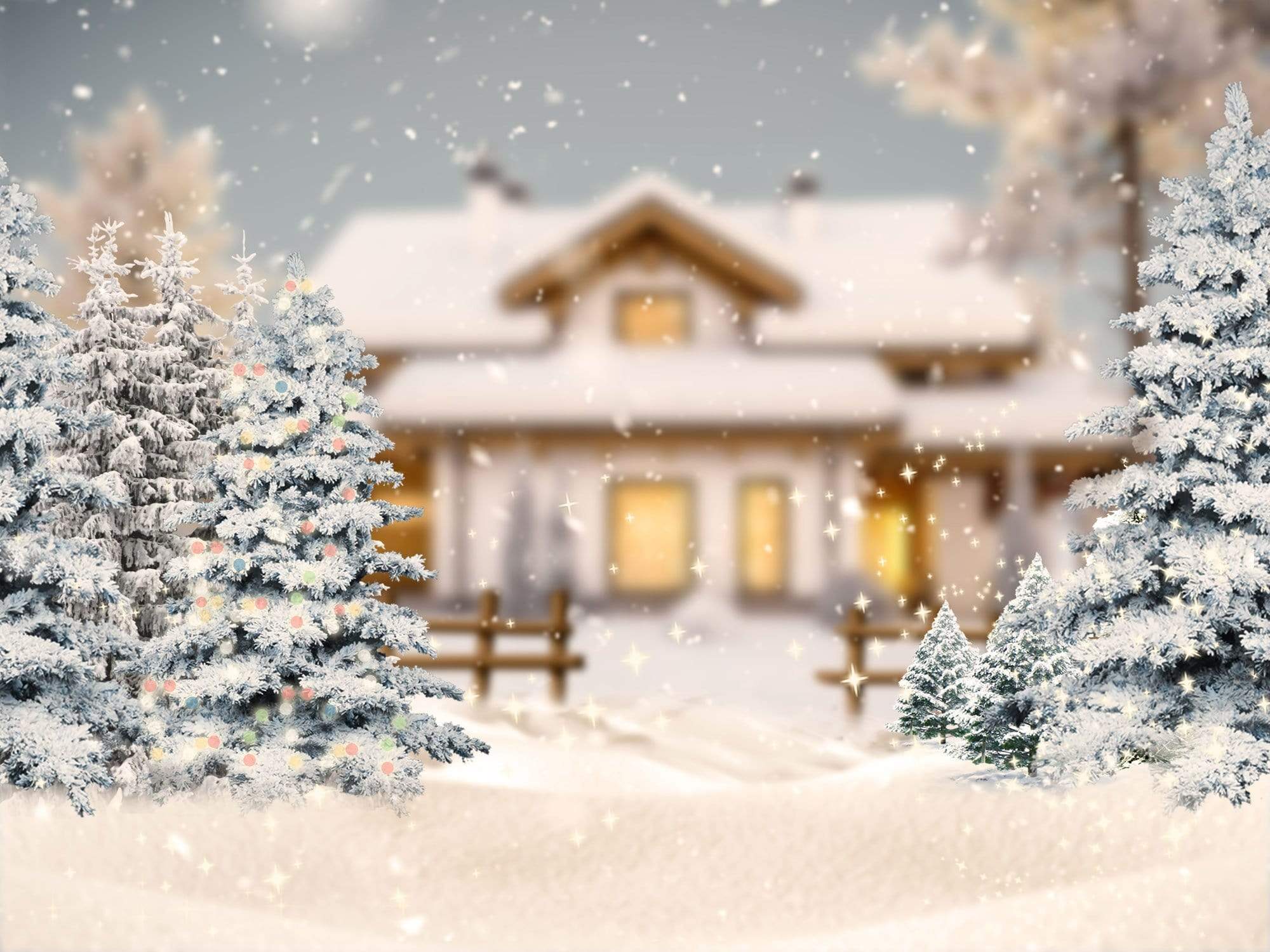 Katebackdrop£ºKate Christmas Winter Trees House Backdrop Designed By Jerry_Sina