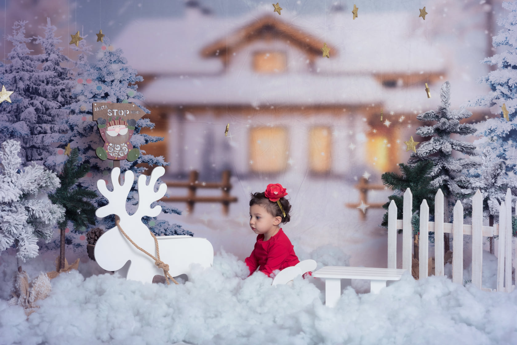 Kate Christmas Winter Trees House Backdrop Designed By Jerry_Sina