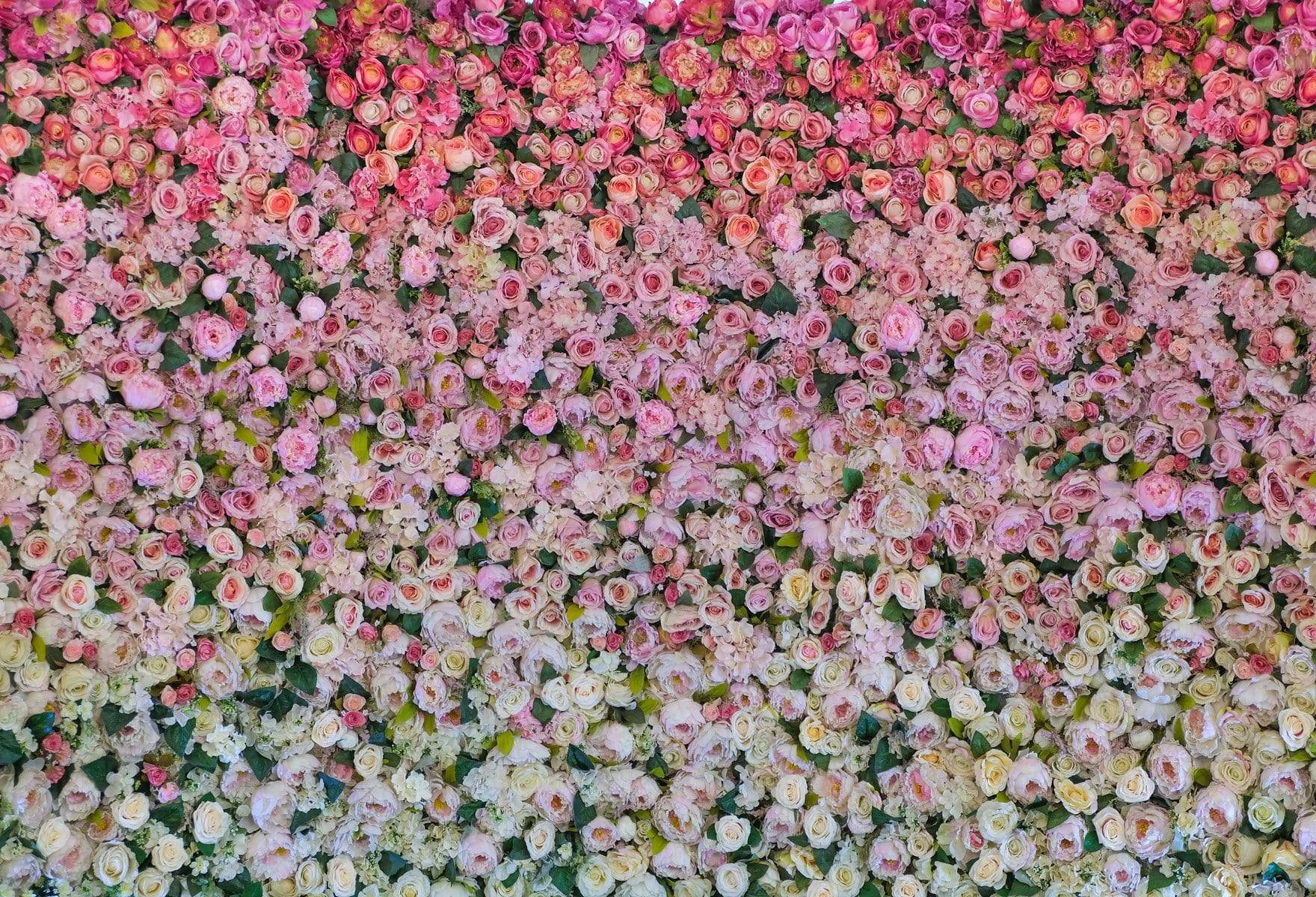 Katebackdrop鎷㈡綖Kate Wedding Flower wall backdrop