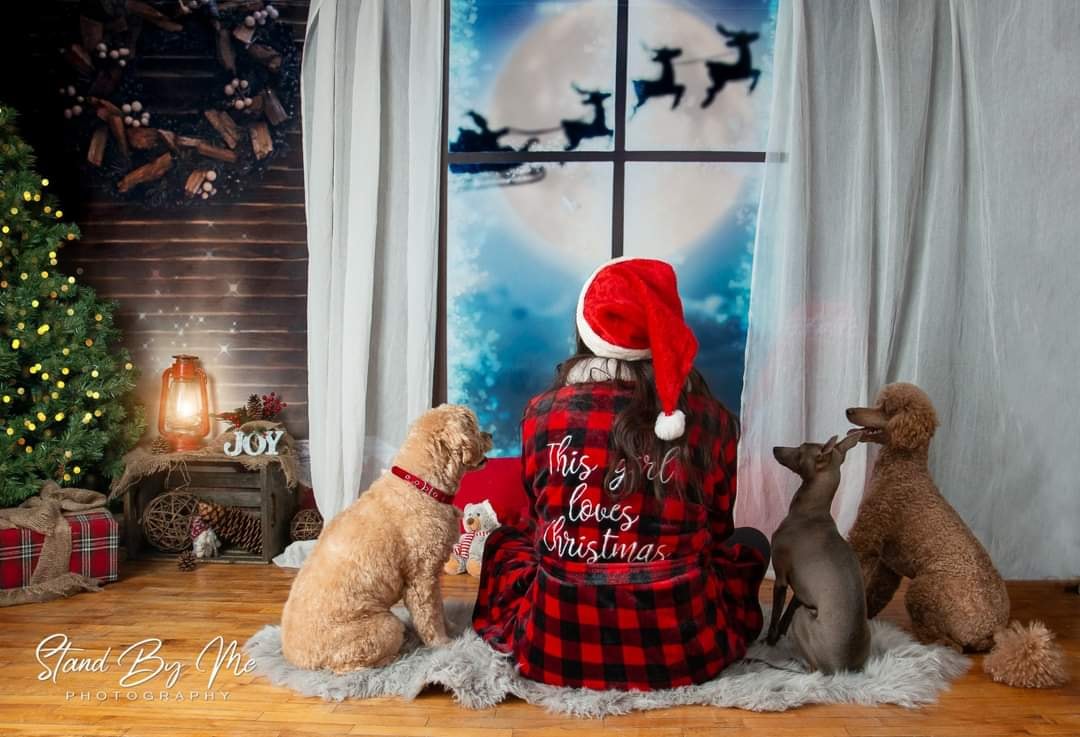 Kate Christmas Moon And Reindeer Outside Window Backdrops for Photography