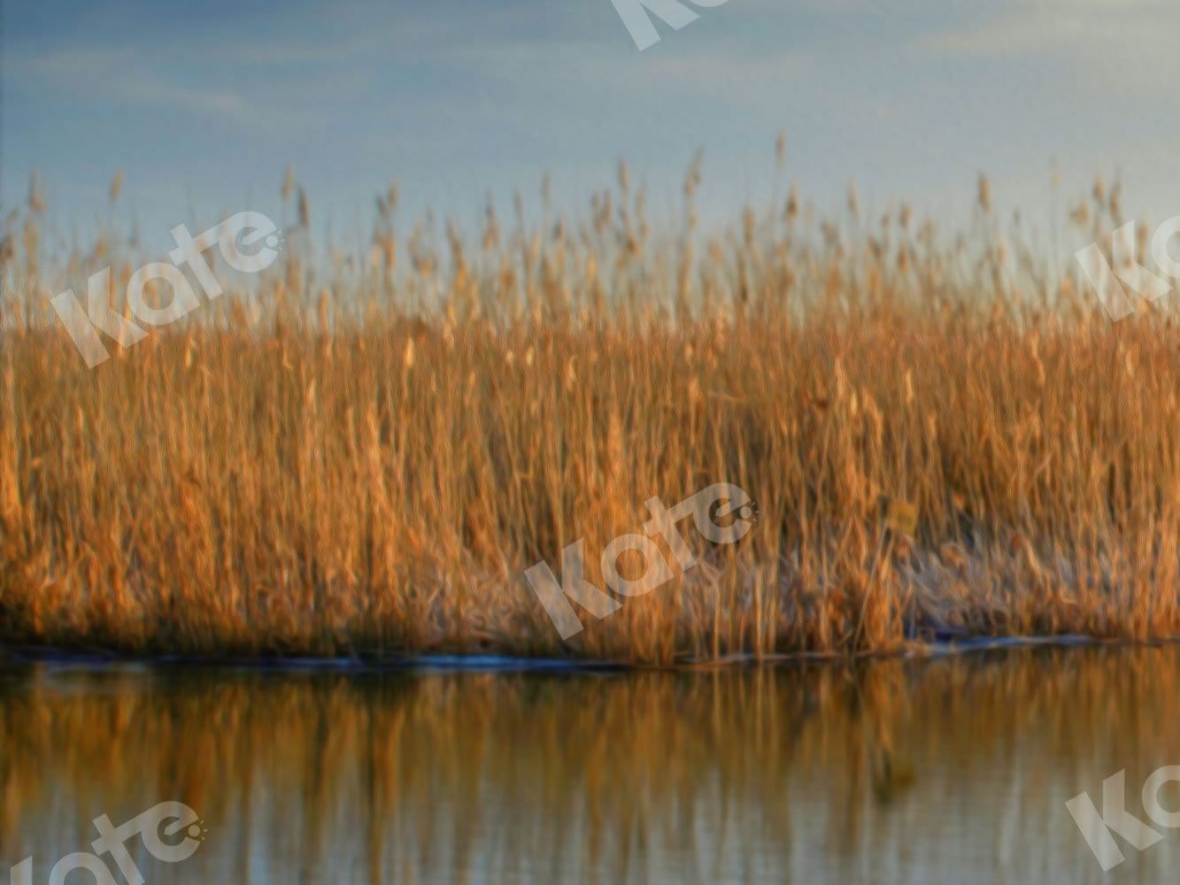 Kate Fall Backdrop Waterside Reeds for Photography