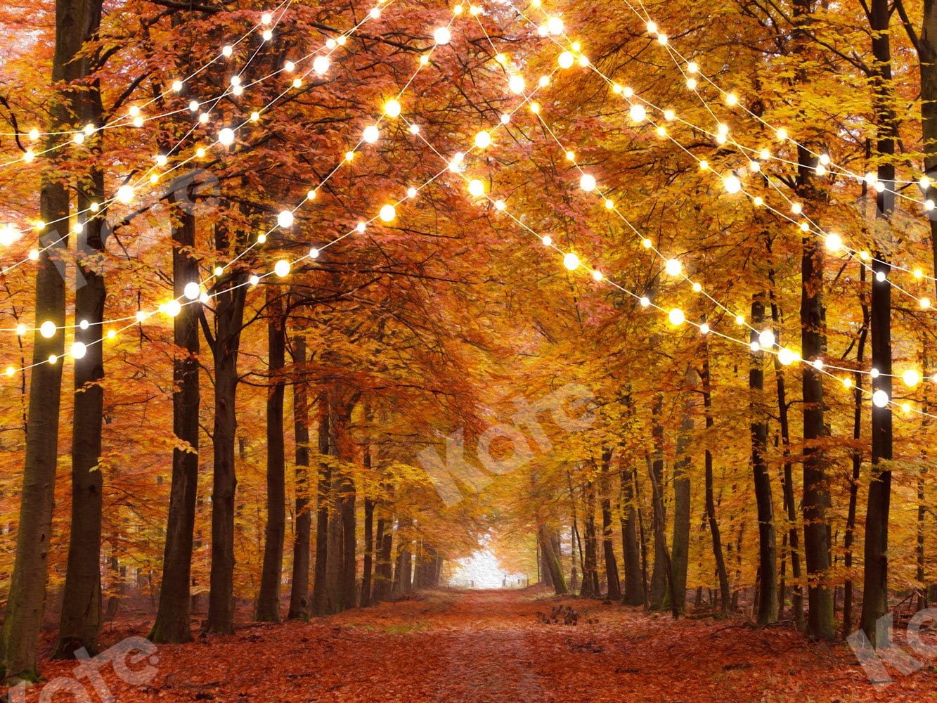 Kate Fall Backdrop Forest Road with Lights  for Photography