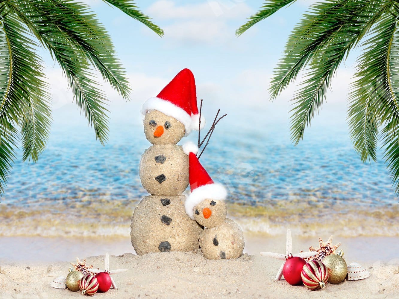 Kate Christmas Beach Sea Backdrop for Photography - Kate Backdrop