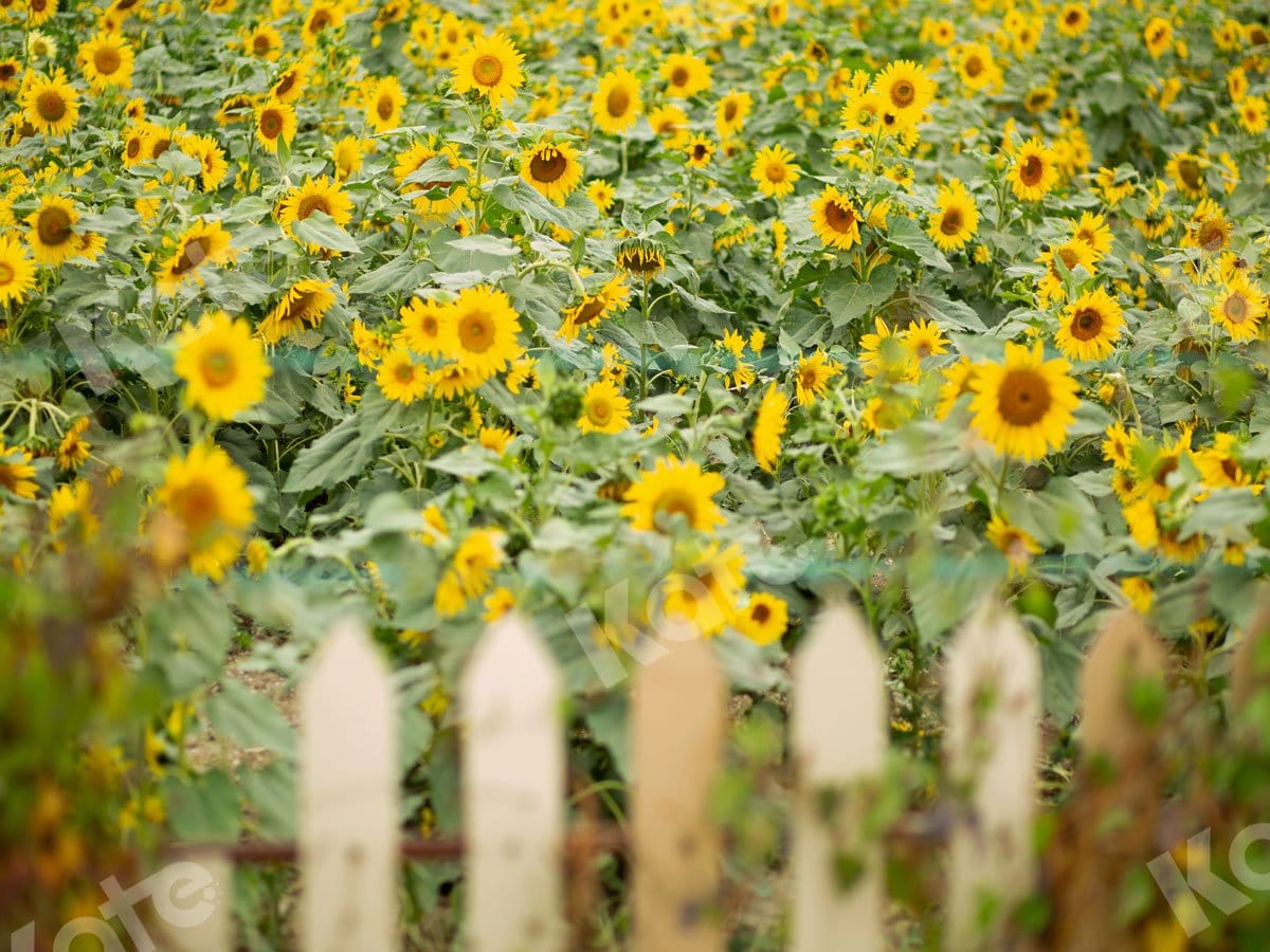 Kate Sunflower Garden Backdrop Designed by Jia Chan Photography