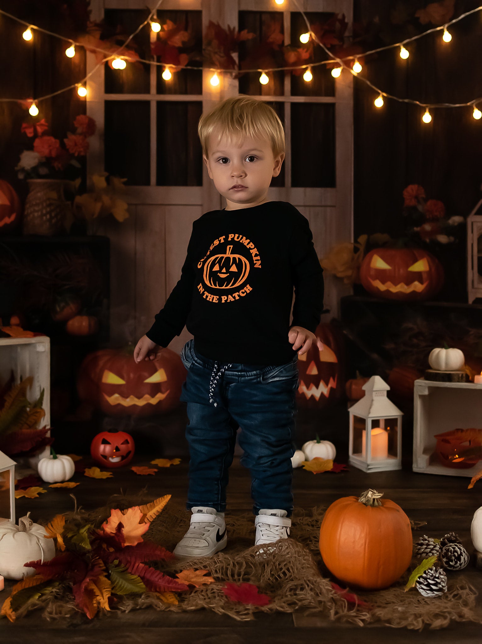 Kate Halloween Pumpkins Lights Backdrop Designed by Jia Chan Photography