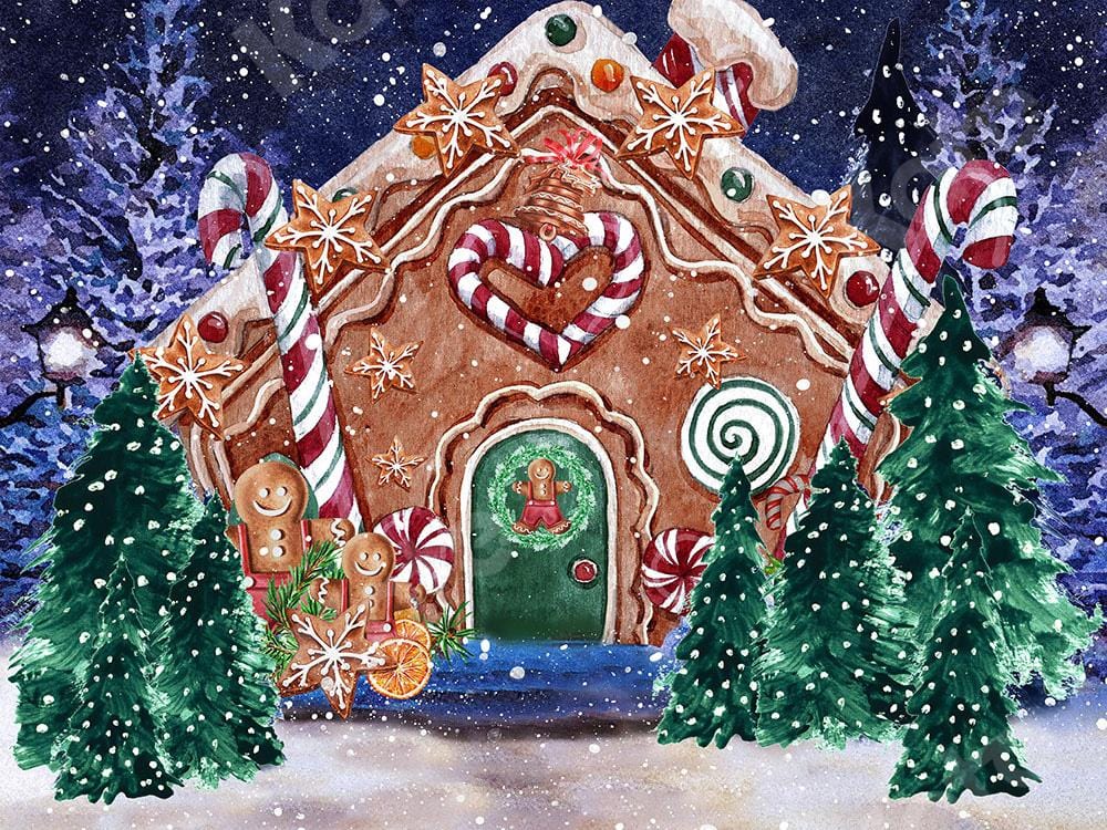Kate Christmas Hot Cocoa Backdrop Outside Gingerbread House Designed by GQ - Kate Backdrop