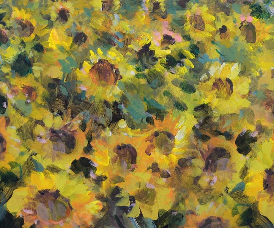Kate Fine Art Florals Sunflower Field Backdrop Designed by GQ