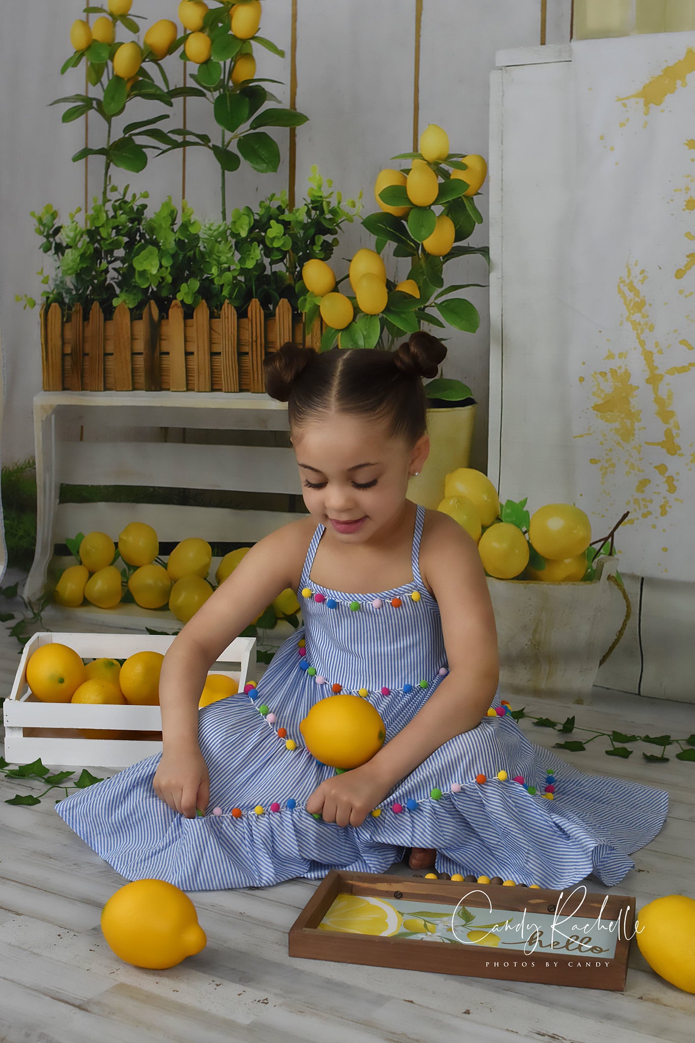 Kate Summer Lemon Store Backdrop Designed by Jia Chan Photography