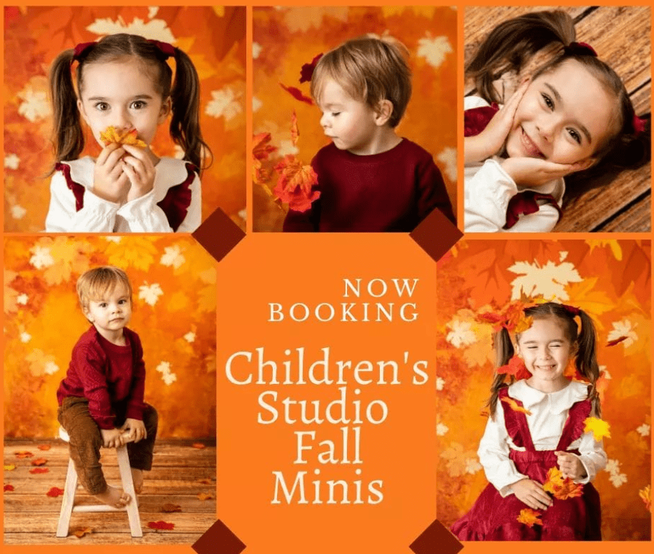 Kate Fall Backdrop Yellow Fallen Leaves Designed by Chain Photography