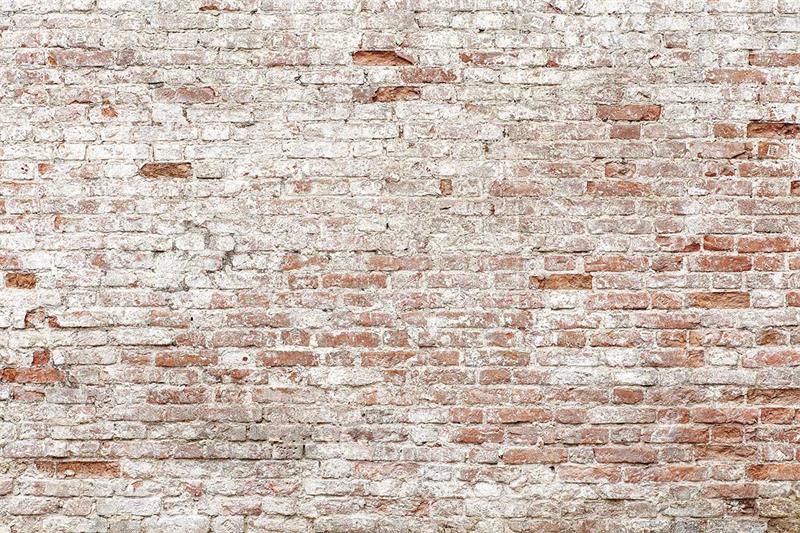 Kate Old Brick Wall Backdrop Designed by Kate Image