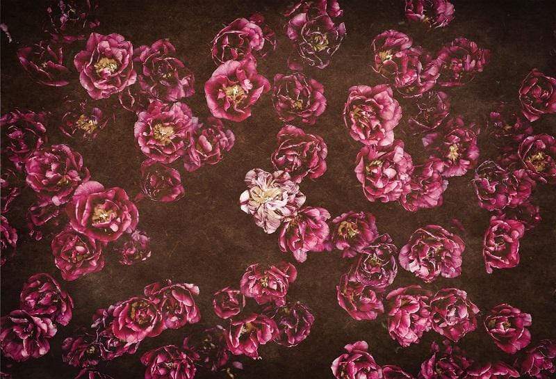 Katebackdrop鎷㈡綖Kate Red retro Flowers Valentine's Day Backdrop for Photography designed by Jerry_Sina