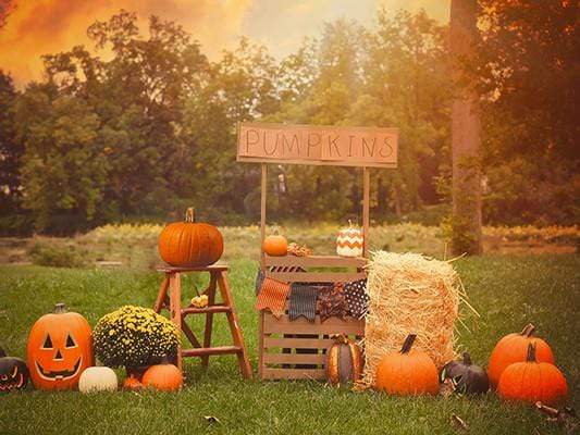 Kate Halloween Photography Backdrop For Party Pumpkins Grassland - Katebackdrop