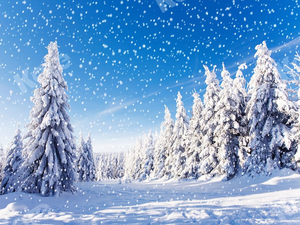 Kate Xmas Winter Snowflake Backdrop for Photoshoot