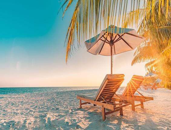 Katebackdrop鎷㈡綖Kate Summer Holiday Plam Tree Beach Deck Chair Backdrop