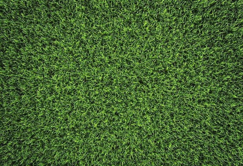 Katebackdrop£ºKate Green Grass Backdrop Background Photos outside