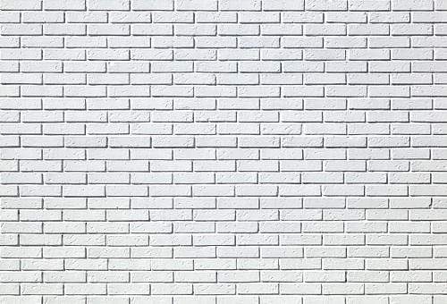 Katebackdrop£ºKate White Brick Wall Photography Backdrops