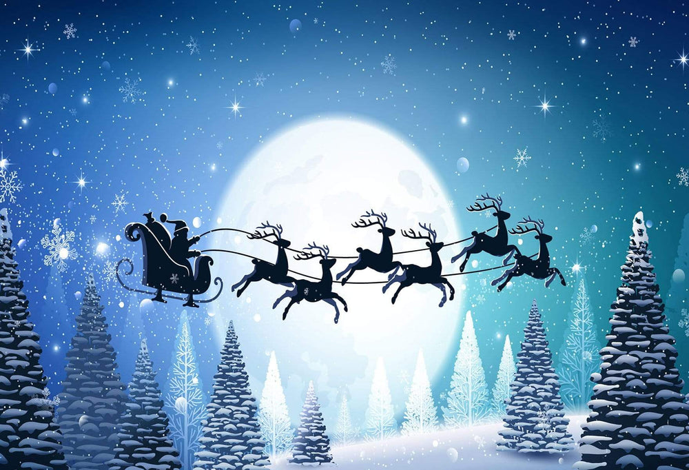 Winter Moonlit Sleigh Ride Backdrop