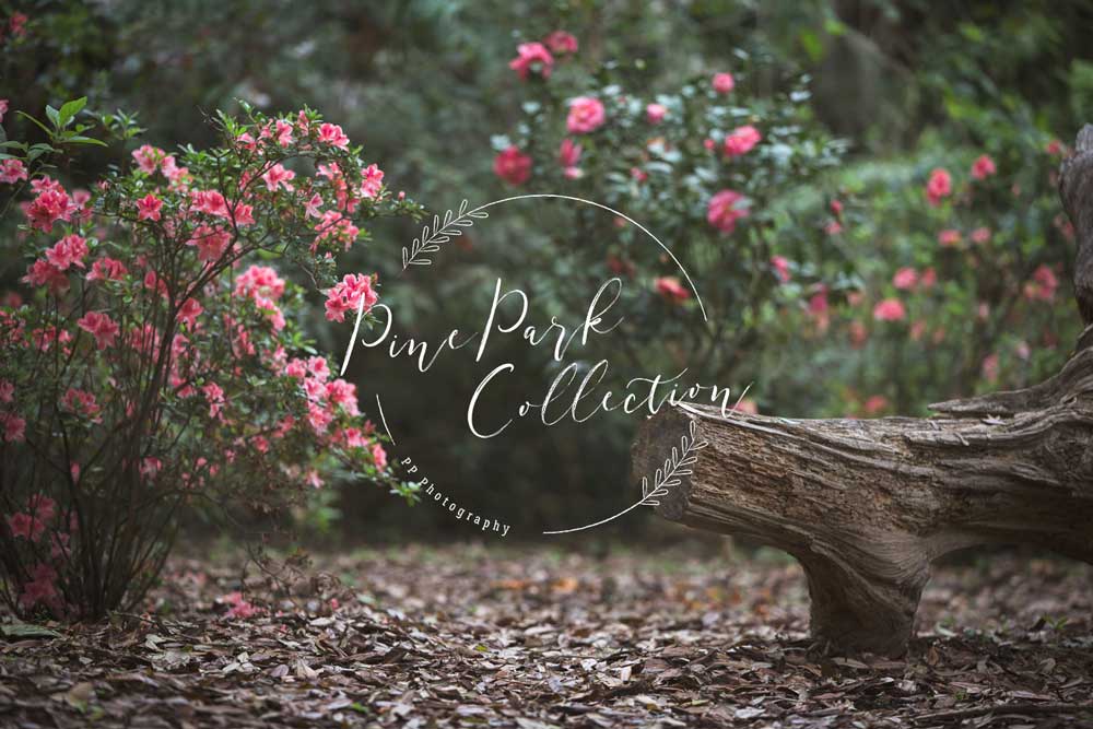 Kate Garden with log bench spring Backdrop for Photography Designed by Pine Park Collection