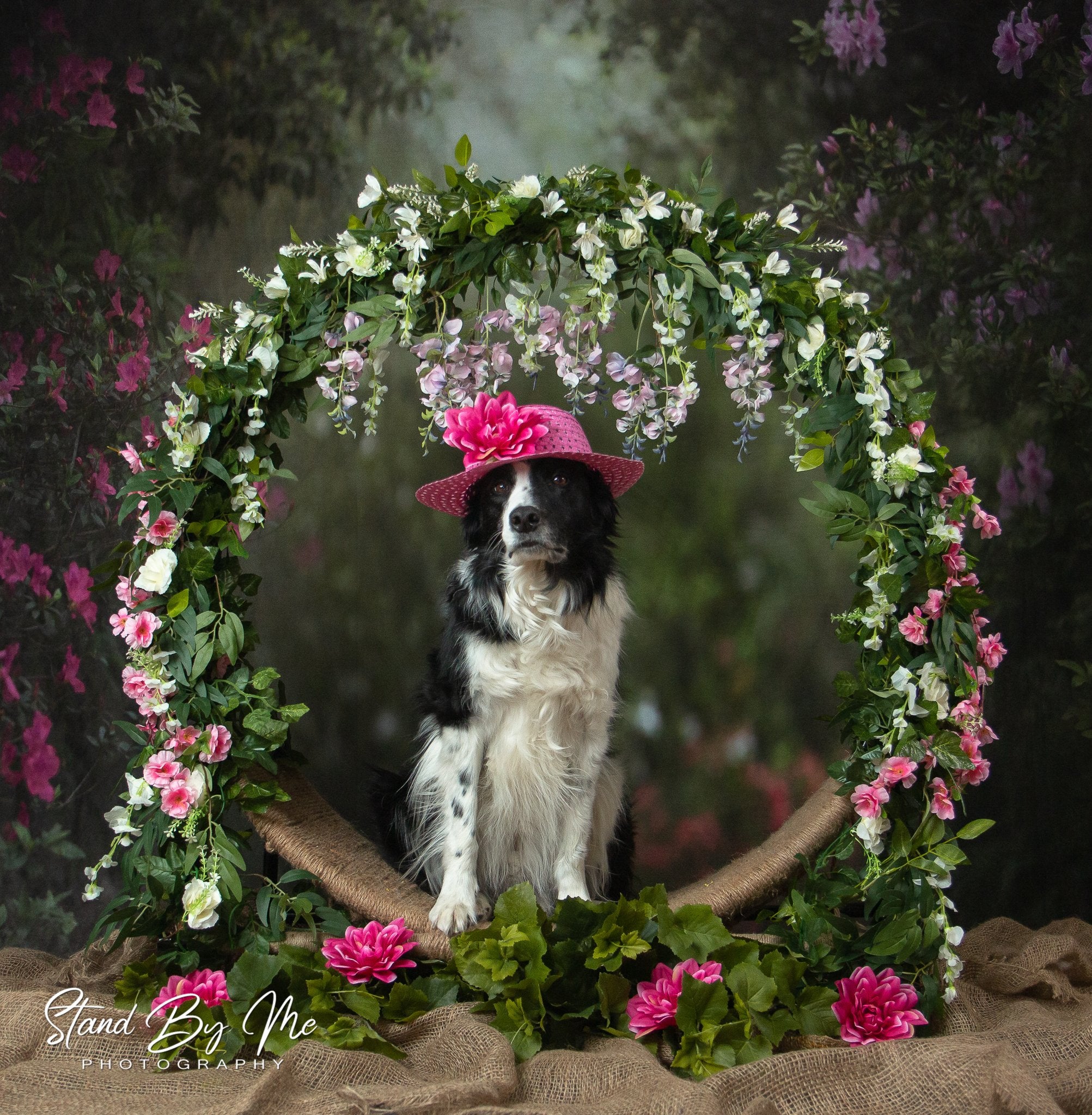 Kate Pet Pink Floral Garden spring Backdrop for Photography Designed by Pine Park Collection