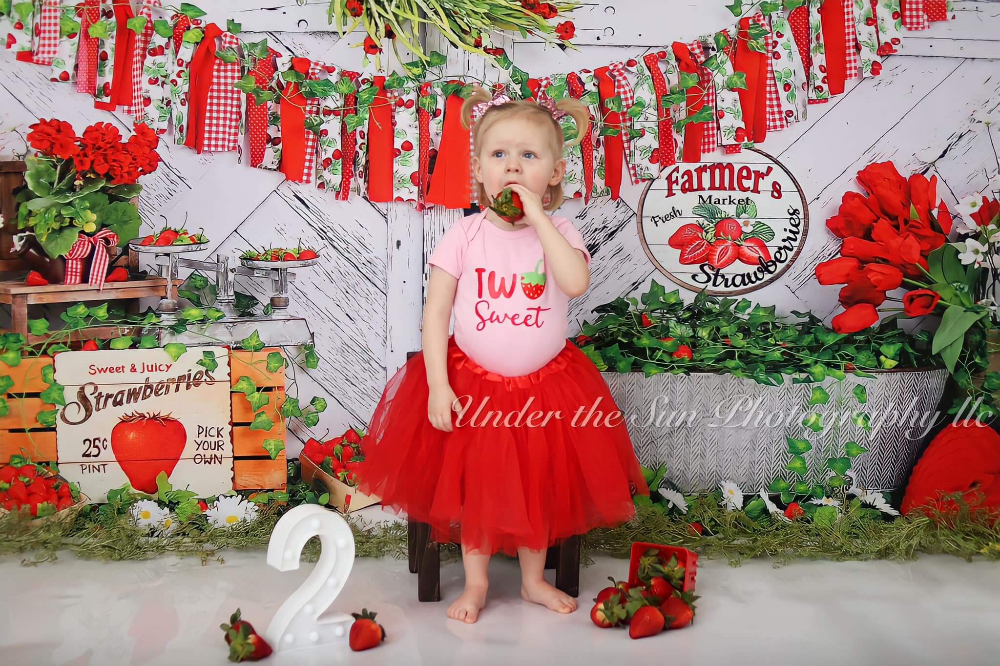 Kate Summer Strawberry White Wooden Board With Banners Backdrop