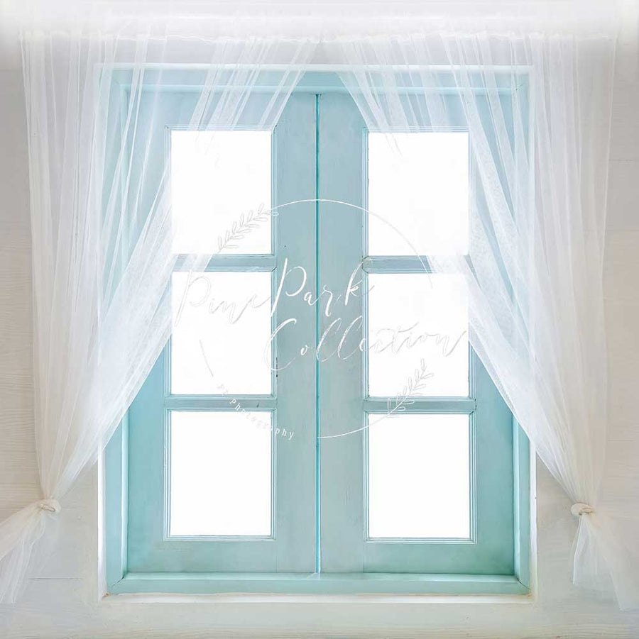 Elegant Blue Vintage Window Backdrop