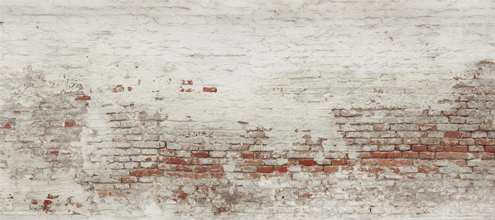 Kate Pet Damaged Brick White Wall  Backdrop for Photography Designed by Pine Park Collection