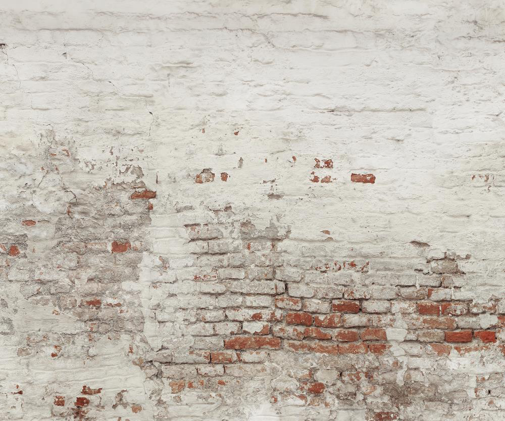 Kate Pet Damaged Brick White Wall  Backdrop for Photography Designed by Pine Park Collection