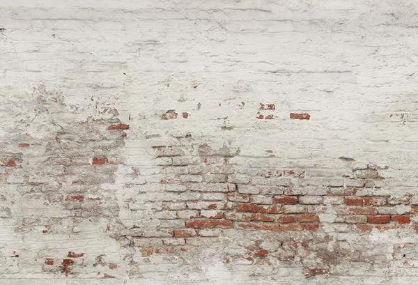 Katebackdrop鎷㈡綖Distressed Brick combination backdrops for photography( 4 backdrops in total )