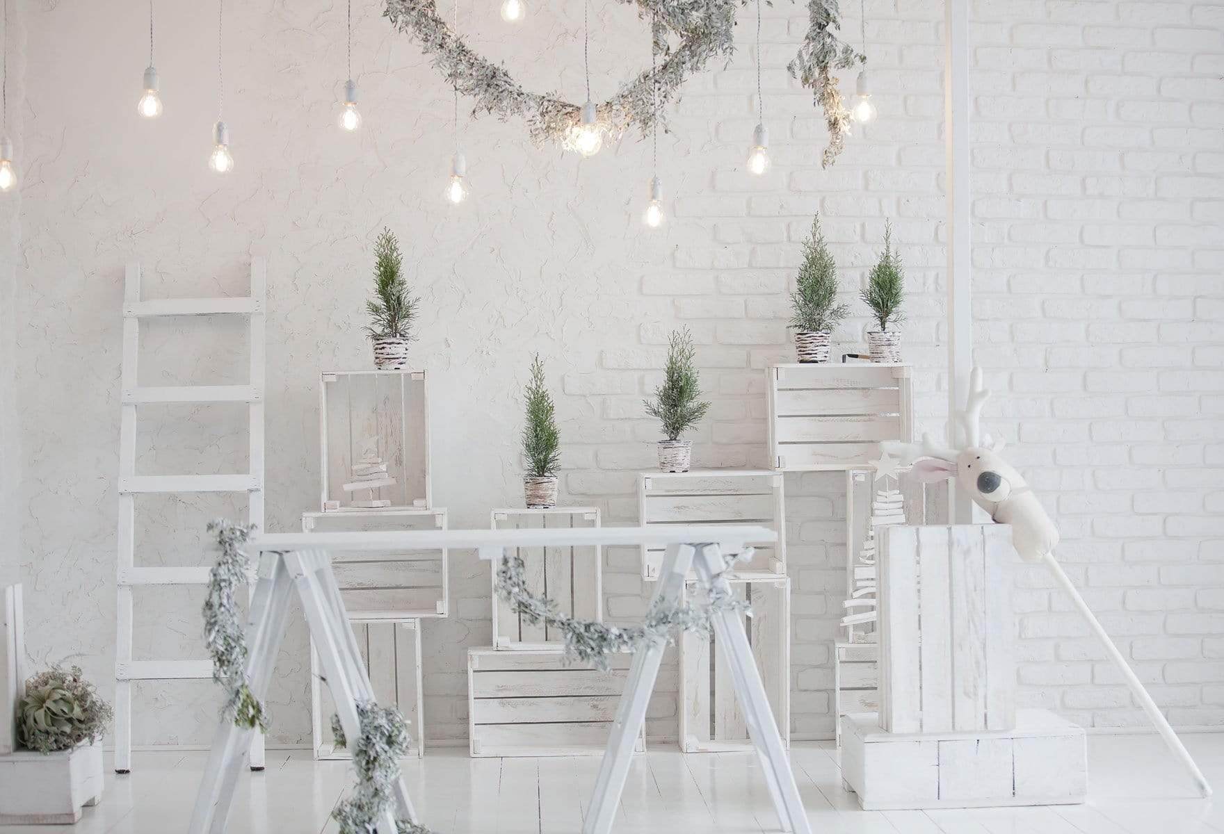 Katebackdrop£ºKate Christmas White Room with Potted Plant Decorations Backdrop