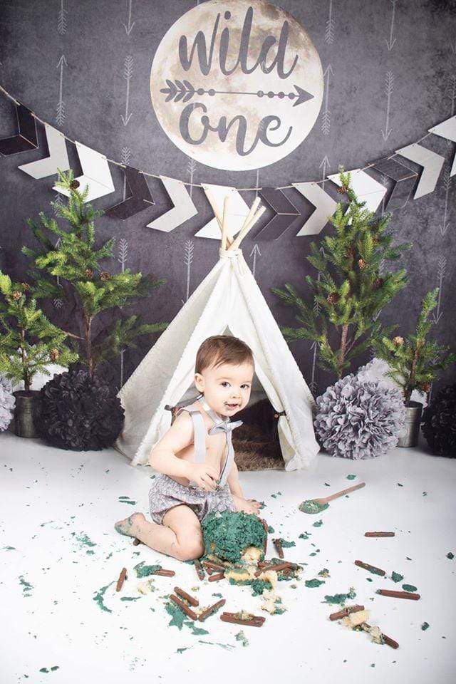 Katebackdrop鎷㈡綖Kate Wild One Boy First Birthday Backdrop Designed By Mandy Ringe Photography