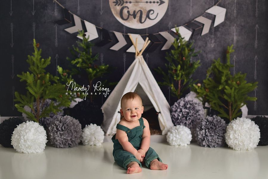 Kate Wild One Boy First Birthday Backdrop Designed By Mandy Ringe Photography - Kate Backdrop