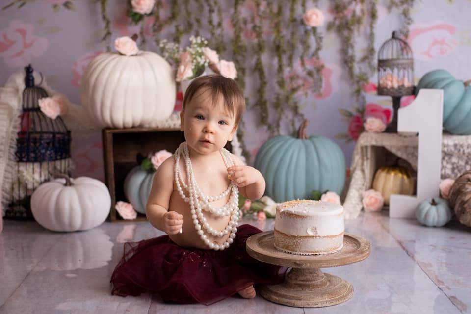Katebackdrop鎷㈡綖Kate Pretty Pumpkins Children Cake smash Backdrop Designed by Keerstan Jessop