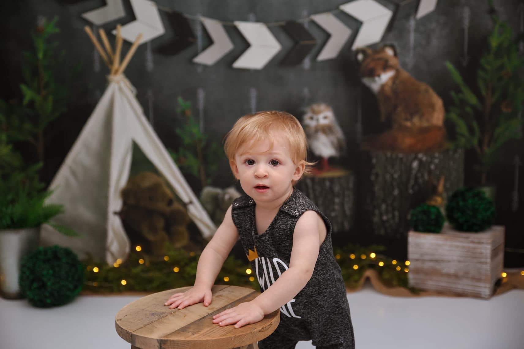 Kate Wild Birthday with Animals Children Backdrop Designed By Mandy Ringe Photography